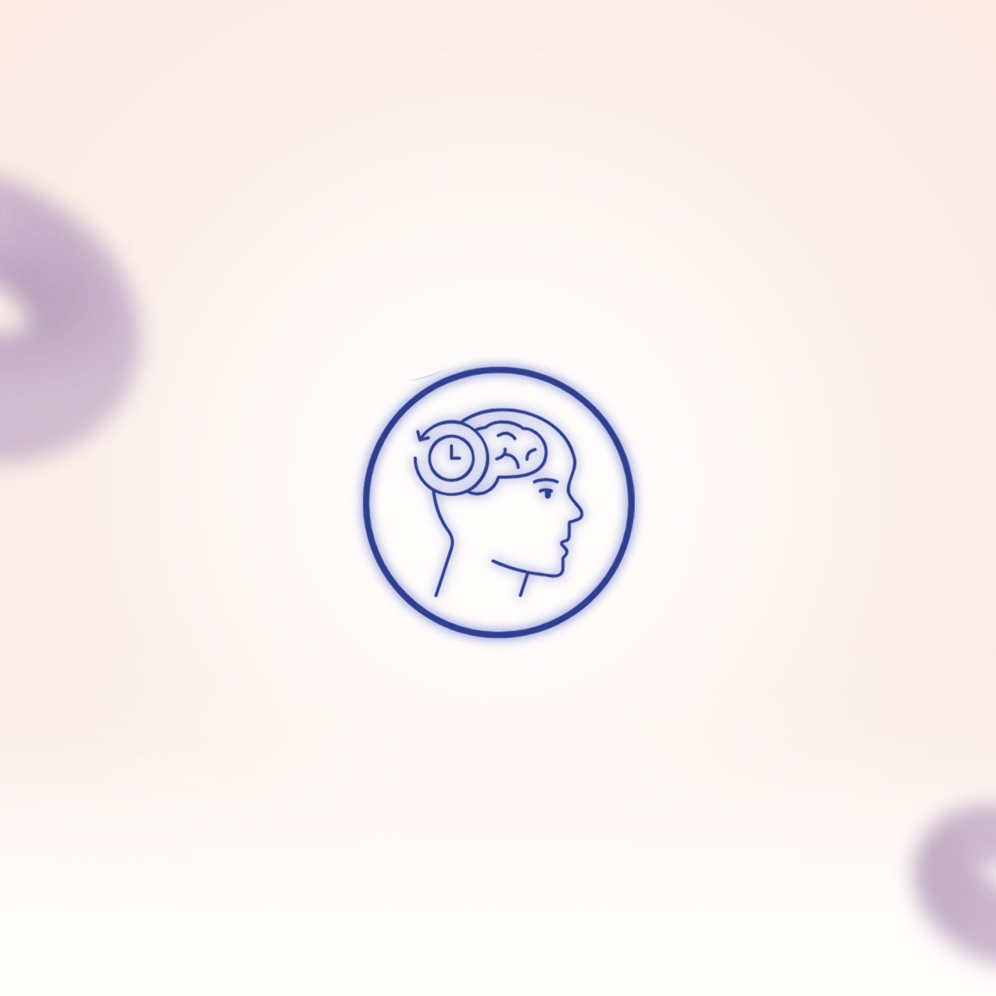 Brain & Memory Support